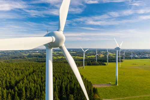 Curtailed Wind Power Could End Fuel Poverty | Healthy Homes Hub