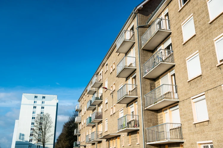 Diagnosing Damp Before Enforcing Deadlines