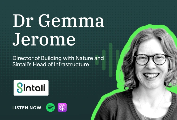 Nature as Essential Infrastructure